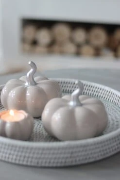 Ceramic Pumpkin Autumn – Medium 2PC -Pretty Little Home 1IMG 6235 2