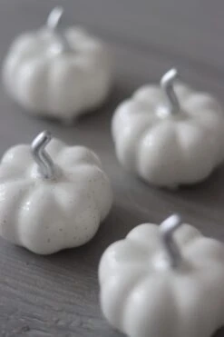 Ceramic Pumpkin Speckled – Tiny 4PC