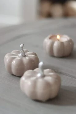 Ceramic Pumpkin Autumn – Small 2PC