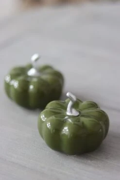 Ceramic Pumpkin Autumnal Green – Small 2PC -Pretty Little Home 1IMG 6302 2
