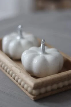 Ceramic Pumpkin Speckled – Small 2PC -Pretty Little Home 1IMG 6321 2