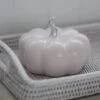 Ceramic Pumpkin Light Pink/Silver – Large