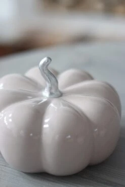 Ceramic Pumpkin Autumn- Large -Pretty Little Home 2IMG 6239 2