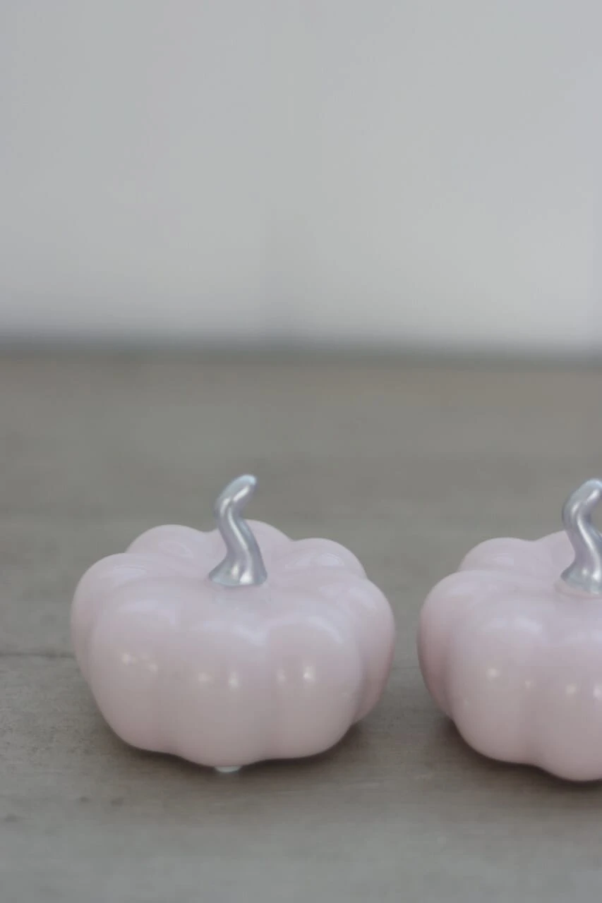 Ceramic Pumpkin Light Pink/Silver – Small 2PC 3 Ceramic Pumpkin Light Pink/Silver – Small 2PC - Image 3