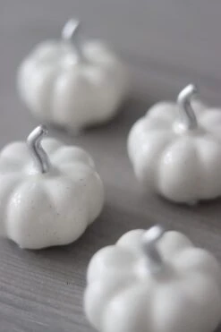 Ceramic Pumpkin Speckled – Tiny 4PC -Pretty Little Home 3IMG 6252 2