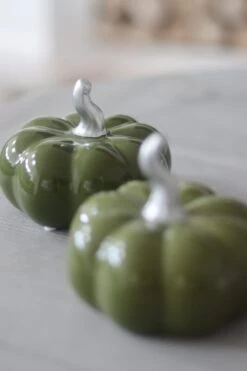 Ceramic Pumpkin Autumnal Green – Medium 2PC