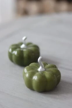 Ceramic Pumpkin Autumnal Green – Small 2PC