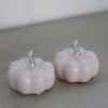 Ceramic Pumpkin Light Pink/Silver – Small 2PC