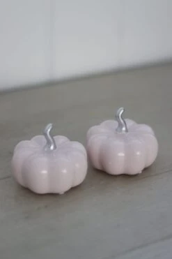 Ceramic Pumpkin Light Pink/Silver – Small 2PC