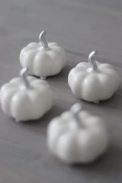 Ceramic Pumpkin Speckled – Tiny 4PC -Pretty Little Home 4IMG 6251 2