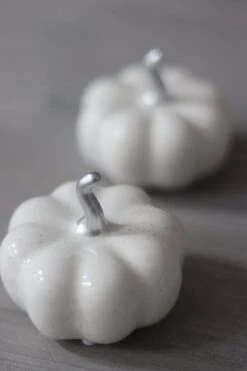 Ceramic Pumpkin Speckled – Small 2PC -Pretty Little Home 4IMG 6317 2