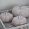 Ceramic Pumpkin Light Pink/Silver – Medium 2PC
