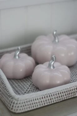 Ceramic Pumpkin Light Pink/Silver – Medium 2PC