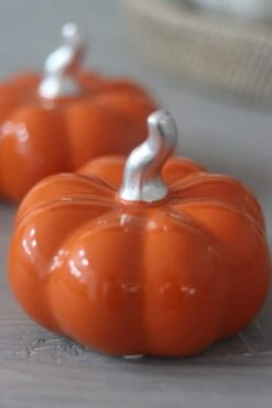 Ceramic Pumpkin Autumnal Orange- Medium 2PC -Pretty Little Home 4IMG 6399 2