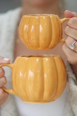 Mini Pumpkin Mug – Ochre -Pretty Little Home IMG 0230 2