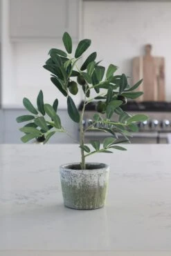 Faux Plant – Small Potted Olive Tree