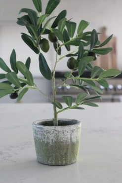 Faux Plant – Small Potted Olive Tree -Pretty Little Home IMG 0756