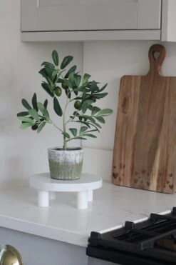 Faux Plant – Small Potted Olive Tree -Pretty Little Home IMG 0762