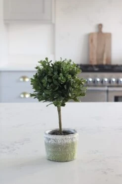 Faux Plant – PottedTopiary Tree -Pretty Little Home IMG 0780