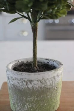 Faux Plant – PottedTopiary Tree -Pretty Little Home IMG 0783