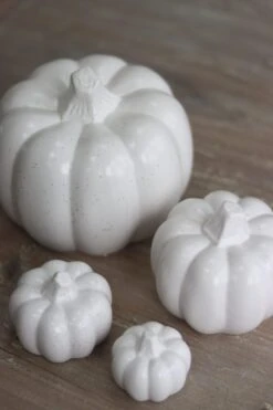 Round Pumpkin Family – Speckled -Pretty Little Home IMG 0975