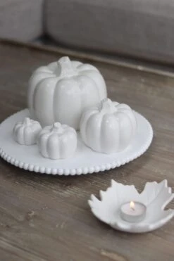 Round Pumpkin Family – Speckled