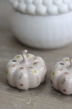 Ceramic Pumpkin Autumn Floral – Small 2PC -Pretty Little Home IMG 1017 2