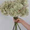Faux Green Hydrangea Stem