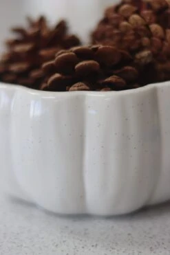 Ceramic Pumpkin Bowl – Speckled -Pretty Little Home IMG 1209 2