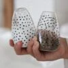 Glass Salt And Pepper Shakers/Black Polka Dot