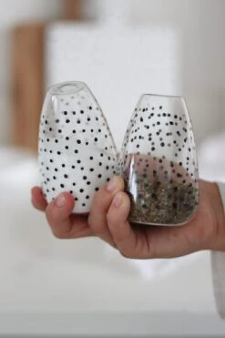 Glass Salt And Pepper Shakers/Black Polka Dot