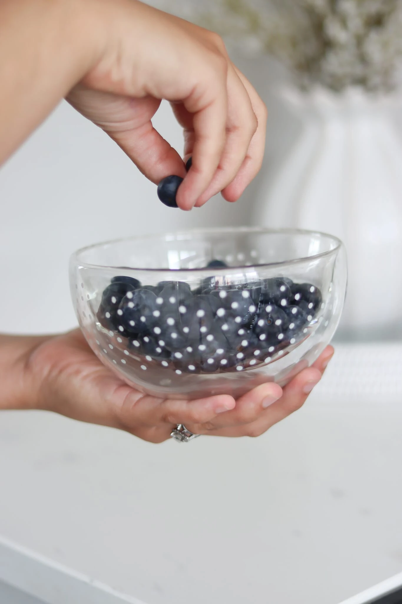 Double Wall Glass Bowl – White/Cosmos 1 Double Wall Glass Bowl – White/Cosmos