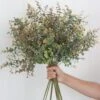 Artificial Eucalyptus Spray – Green Hues