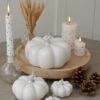 Ceramic Pumpkin Family – White/Silver Stalk