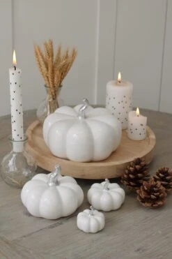 Ceramic Pumpkin Family – White/Silver Stalk