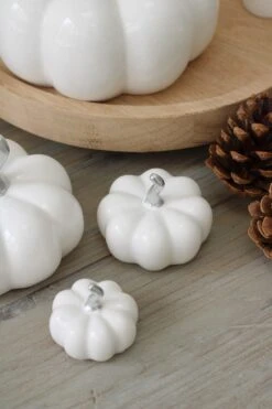 Ceramic Pumpkin Family – White/Silver Stalk -Pretty Little Home IMG 3999