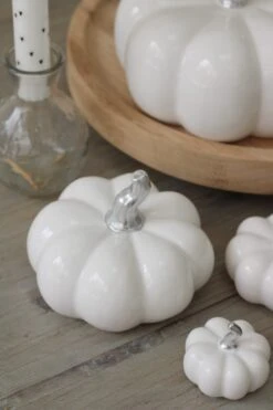 Ceramic Pumpkin Family – White/Silver Stalk -Pretty Little Home IMG 4000 1