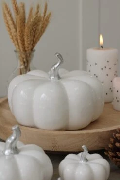Ceramic Pumpkin Family – White/Silver Stalk -Pretty Little Home IMG 4001
