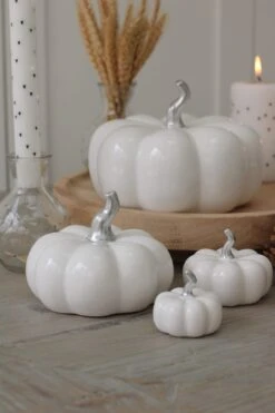 Ceramic Pumpkin Family – White/Silver Stalk -Pretty Little Home IMG 4002