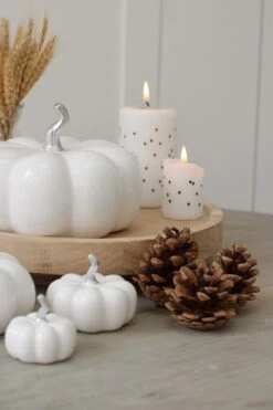 Ceramic Pumpkin Family – White/Silver Stalk -Pretty Little Home IMG 4003