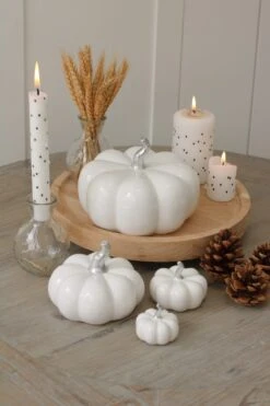 Ceramic Pumpkin Family – White/Silver Stalk -Pretty Little Home IMG 4013