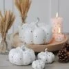 Ceramic Pumpkin Family – White Polka Dot