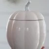 Large Ceramic Pumpkin Jar – Light Pink