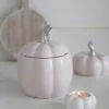 Small Ceramic Pumpkin Jar – Light Pink