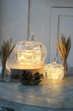 Medium Glass Pumpkins – Bundle -Pretty Little Home IMG 4146