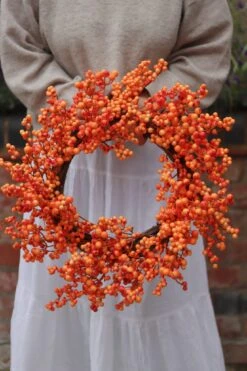 Autumn Berries