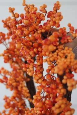 Autumn Berries -Pretty Little Home IMG 4860