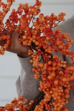 Autumn Berries -Pretty Little Home IMG 4862 2