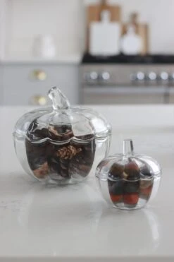Glass Pumpkin Jars – Bundle -Pretty Little Home IMG 5059 2