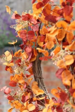 Autumn Woods – Autumn Wreath -Pretty Little Home IMG 5094